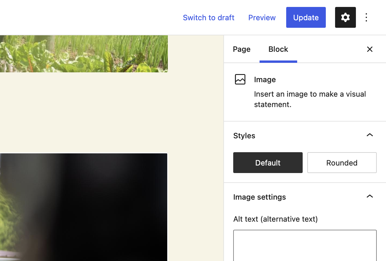 "Style Variations Picker within Gutenberg showing Default and Rounded as options"